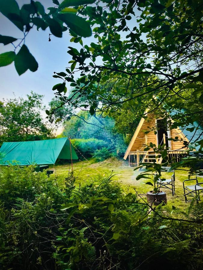 Robin Goch Retreat Hotel Carmarthen Bagian luar foto